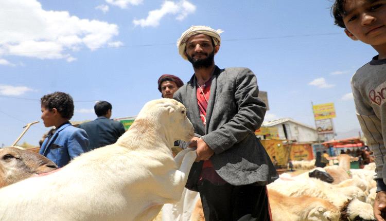 وباء قاتل يتفشي.. نفوق أعداد كبيرة من الأبقار والجمال والمواشي والدواجن