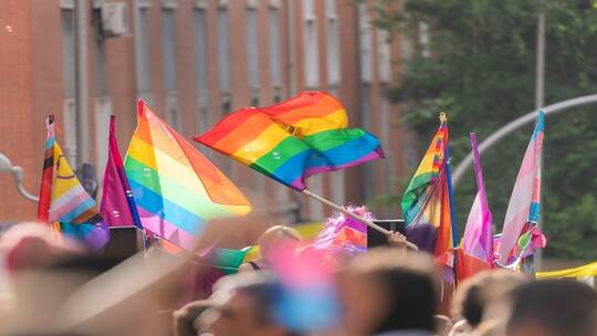 ثالث دولة آسيوية تقر زواج المثليين