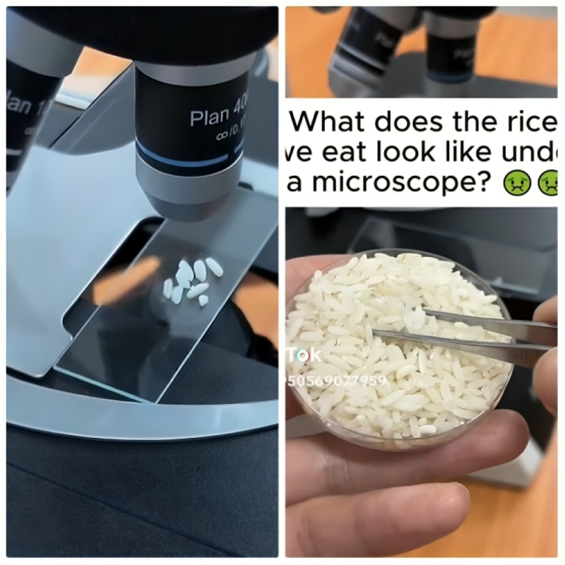 شاهد: ماذا وجد مختص بعد فحص كمية من الأرز تحت المجهر!