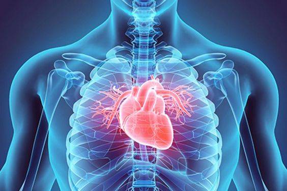 طبيب سعودي يحذر من تناول أطعمة تزيد من احتمال حدوث جلطة القلب ويكشف البديل