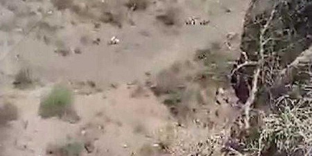 مقتل وإصابة 7 أشخاص إثر سقوط سيارة من منحدر سحيق بصنعاء خلال عودتهم