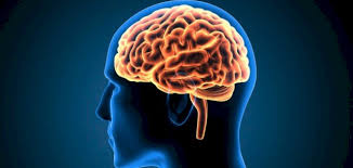 هل يتغير دماغ الرجل بعد أن يصبح أبًا؟ .. استشاري يحسم الجدل ويُجيب